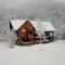 The Little Mountain Cabin