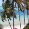 Archipelago Resort