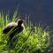 ibis Mulhouse Centre Filature