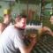 Anilao Scuba Dive Center (ASDC)