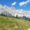 Haus Dachstein Schnitzer - Eben im Pongau