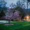 Bright Mystic Valley