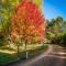 Bright Mystic Valley