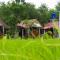 Jamsai Resort