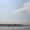 Residentie Oosterschelde