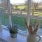 Brooksides Byre Durham Country Cottage
