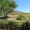 Sunbird Cottage - Noordhoek