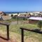 The Shark - Punta del Diablo