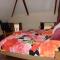 Bed & Breakfast Onder Dak
