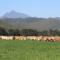 Natures Way Farmhouse - The Crags