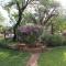 Shamba Yetu Mountain Lodge