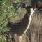 Shamba Yetu Mountain Lodge - Maanhaarrand