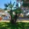 Blu Vacanze Apartments