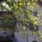 B&B I Pioppi
