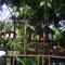 Foto: Ivory Bamboo Orchard Resort 71/78