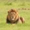 Umzolozolo Private Safari Lodge & Spa