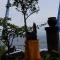 Alur Beach Homestay