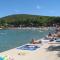 Apartments Hari Tisno