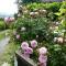 B&B The Roses Garden - Millesimo