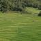 Aditya Homestay