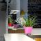 Vintage Hotel Brussels