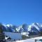 Apartaments Pirinenc
