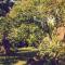 Adami Country Guesthouse