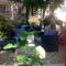 Domaine Casa Andria photo 20