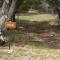 Medina Lake Camping Resort Cabin 4