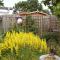 Kittys Place Warmond