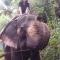 Marari Babu Homestay
