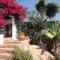 Orchidea Terrace