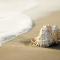 White Shell Beach House