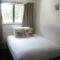 Greenlane Motel - Auckland