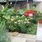 Guesthouse Kresic - Split