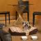 Hotel Le Soleil by Executive Hotels