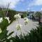 Picton's Waikawa Bay Holiday Park - 皮克顿