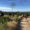 Finca el enebro
