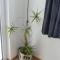 Chads City Apartment mit Tiefgarage free parking