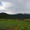 Dajan Buyan Homestay