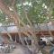 Diamond Beach Resort