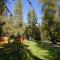 Club del Sole Val di Fiemme Easy Camping Village