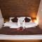 Hotel Babino Brdo