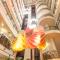 Palasia Hotel Palasia Hotel