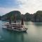 Orchid Classic Cruise