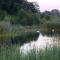 Twentekiek
