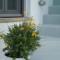 Tutti Blu Tinos Living Space