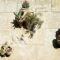 Masseria LUliveto Agri Resort