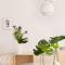Halcyon Days designer apartments by Ana Locking