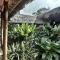 La Bicok EcoLodge